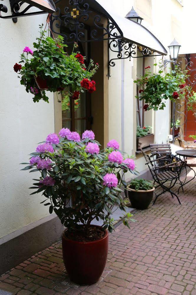 Old Boutique 